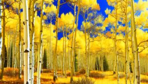 aspen trees spiritual significance