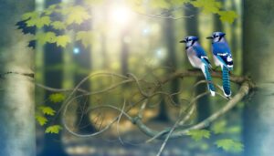 blue jay twin flame symbolism