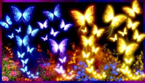 butterfly colors spiritual significance