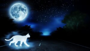 cat symbolism and intuition