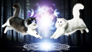 conflict and balance symbolism