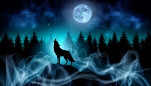 coyote calls nighttime spirituality