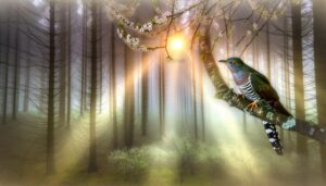 cuckoo bird symbolism and significance