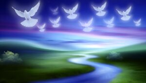 doves symbolize peace and purity