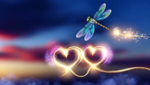 dragonfly love twin flame