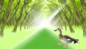 duck crossing symbolizes guidance