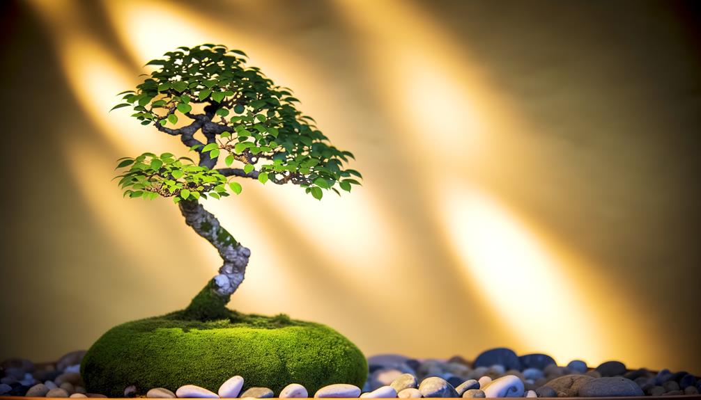 embracing tranquility within self