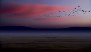 geese signify spiritual guidance