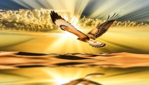 hawks symbolize divine guidance