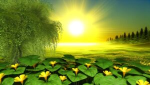 joy optimism energy enlightenment