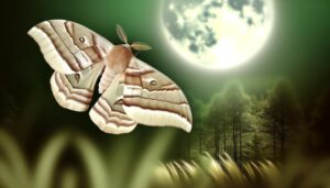 light brown moth symbolism