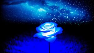 mystical love and spirituality