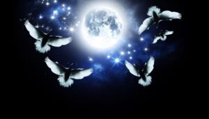 nighttime bird flight symbolism