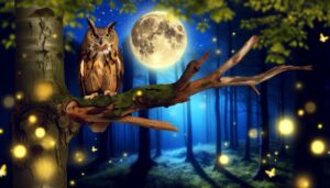 owl night symbolism spirituality