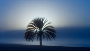 palm tree spiritual significance