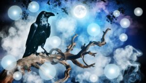 raven symbolizes spiritual insight