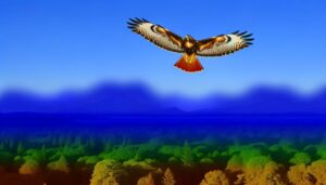 red tail hawk symbolism explained