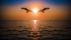 seagull symbolism twin flame connection