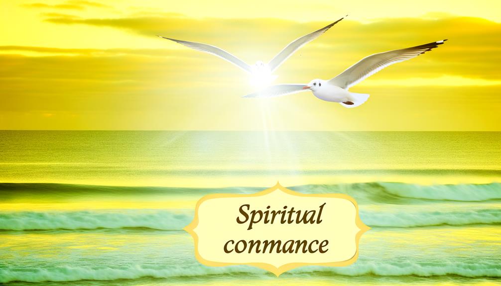 seagulls offer spiritual insight