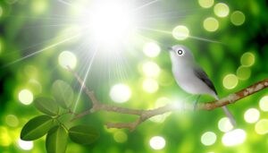 silver eye bird symbolism