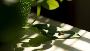 snail symbolism in home
