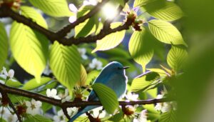 symbol of hope and renewal