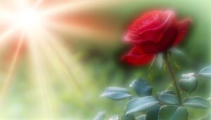 symbol of love and passion