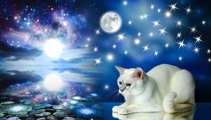 symbol of purity and intuition