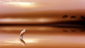 symbol of purity and wisdom