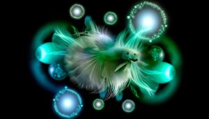 symbol of transformation and harmony