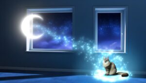 symbolic communication from cats
