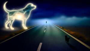 symbolic consequences of harm