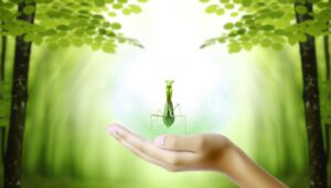 symbolic message of transformation