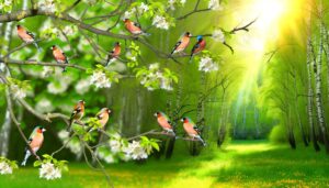 symbolic significance of finches