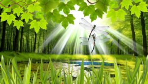 symbolism of dragonfly courtship