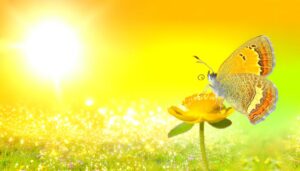 transformation and inner growth