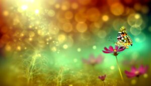 transformation and spiritual growth