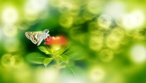 transformation and spiritual guidance