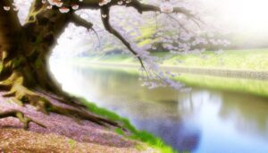 transience beauty renewal life