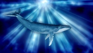 whale symbolism and spirituality