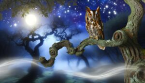 wisdom intuition transformation guidance