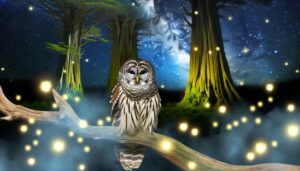 wisdom intuition transformation symbolism